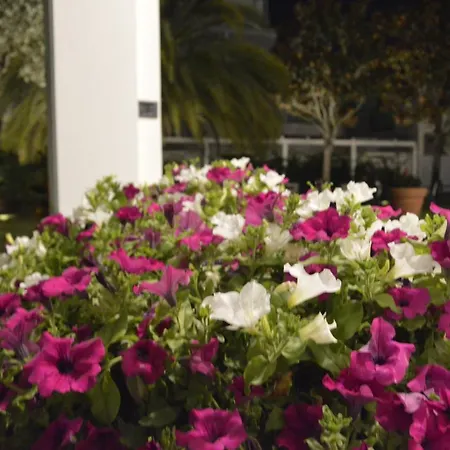 Fortunella Hotel 3*